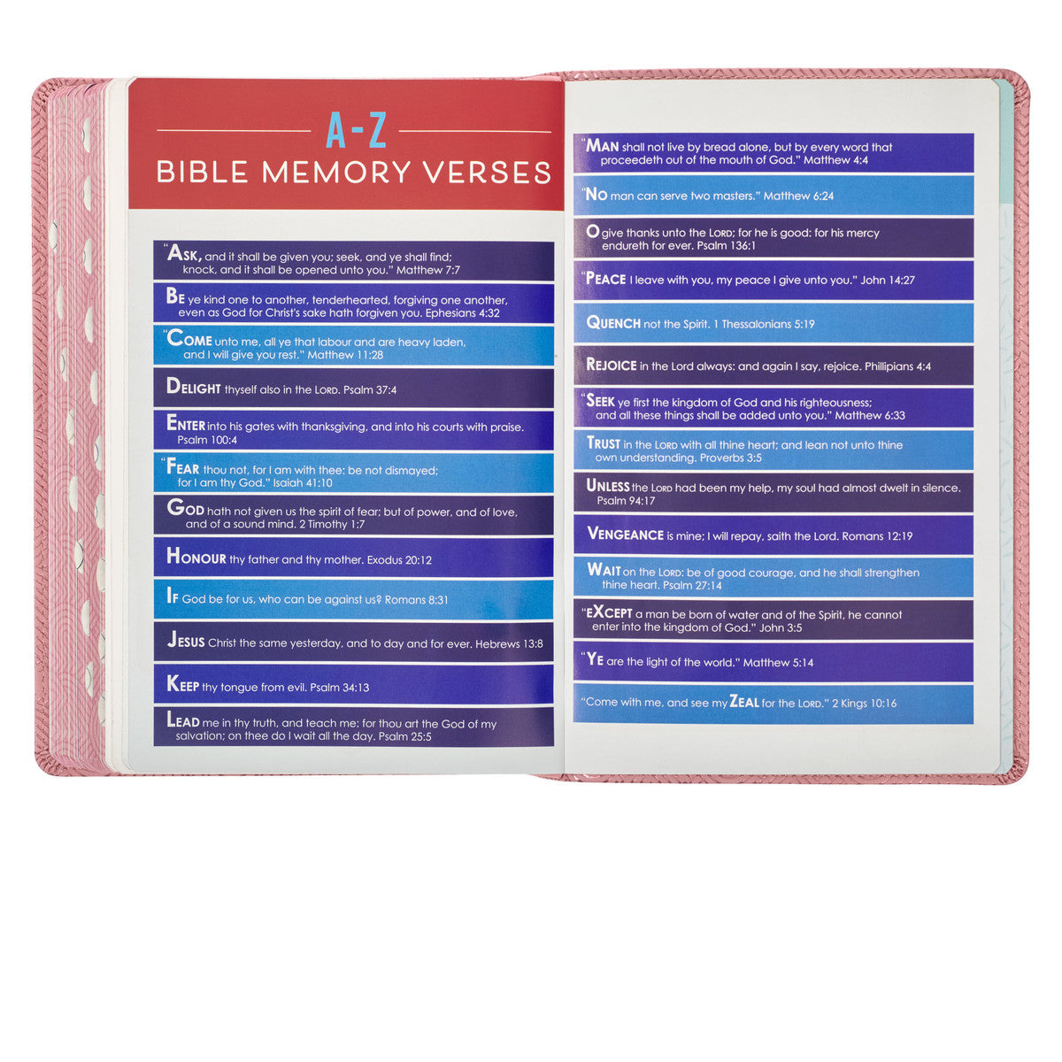 Blossom Pink Heart KJV Kids Bible