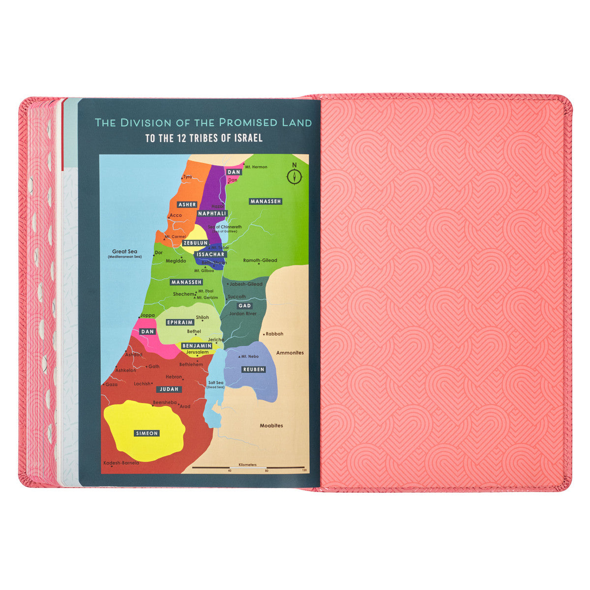 Blossom Pink Heart KJV Kids Bible