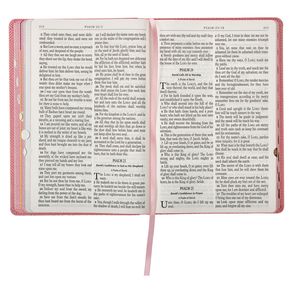 Blossom Pink Heart KJV Kids Bible