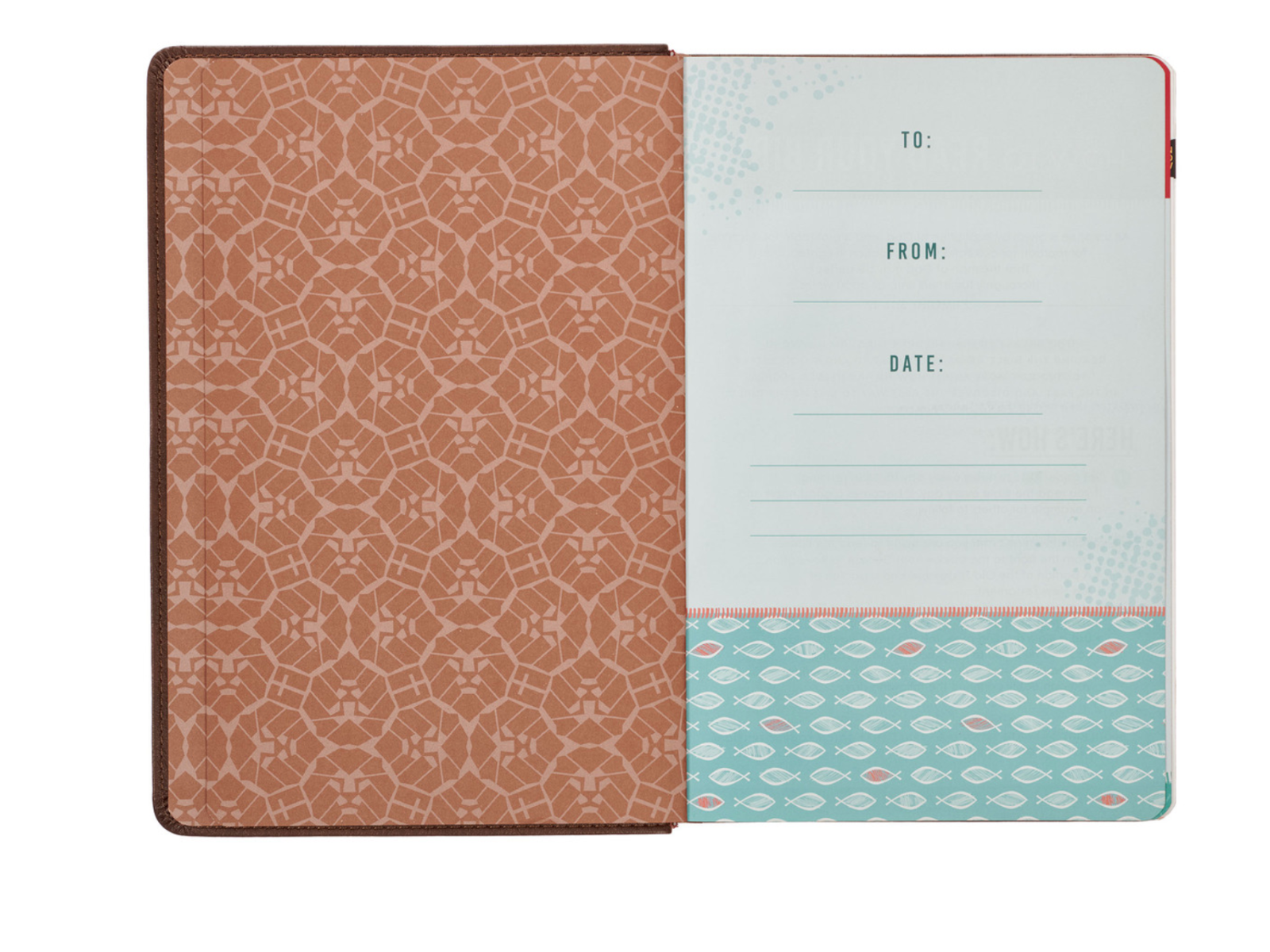 Lion Brown Faux Leather Kid's KJV Bible