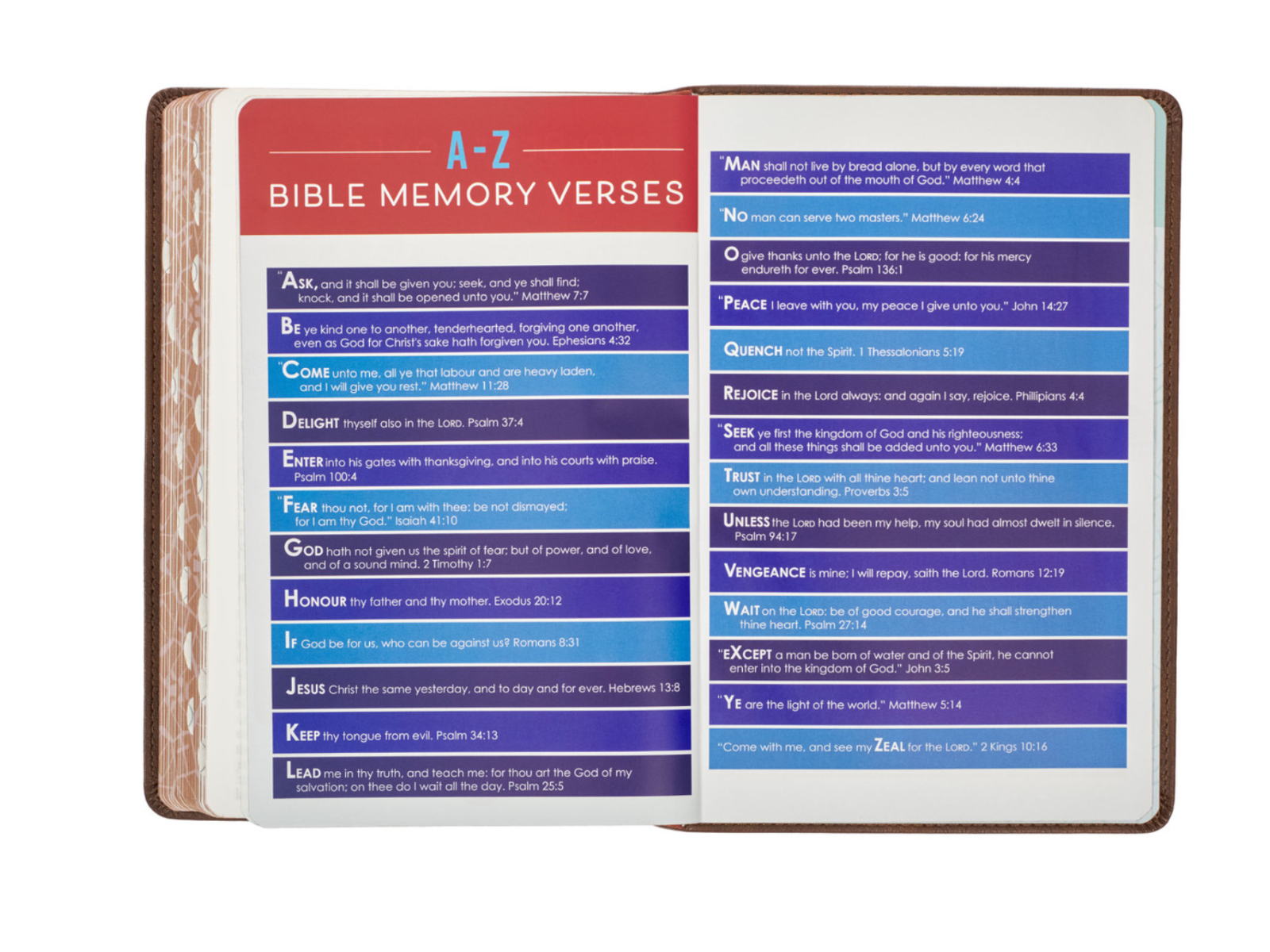 Lion Brown Faux Leather Kid's KJV Bible
