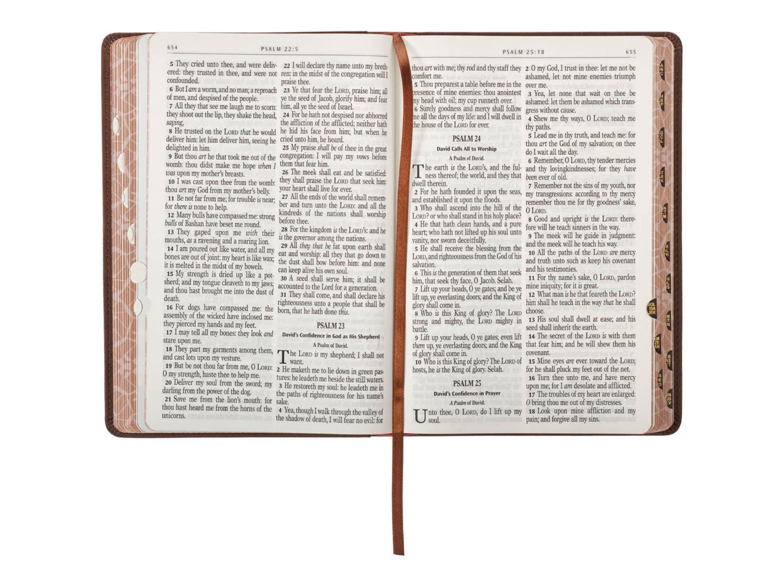 Lion Brown Faux Leather Kid's KJV Bible