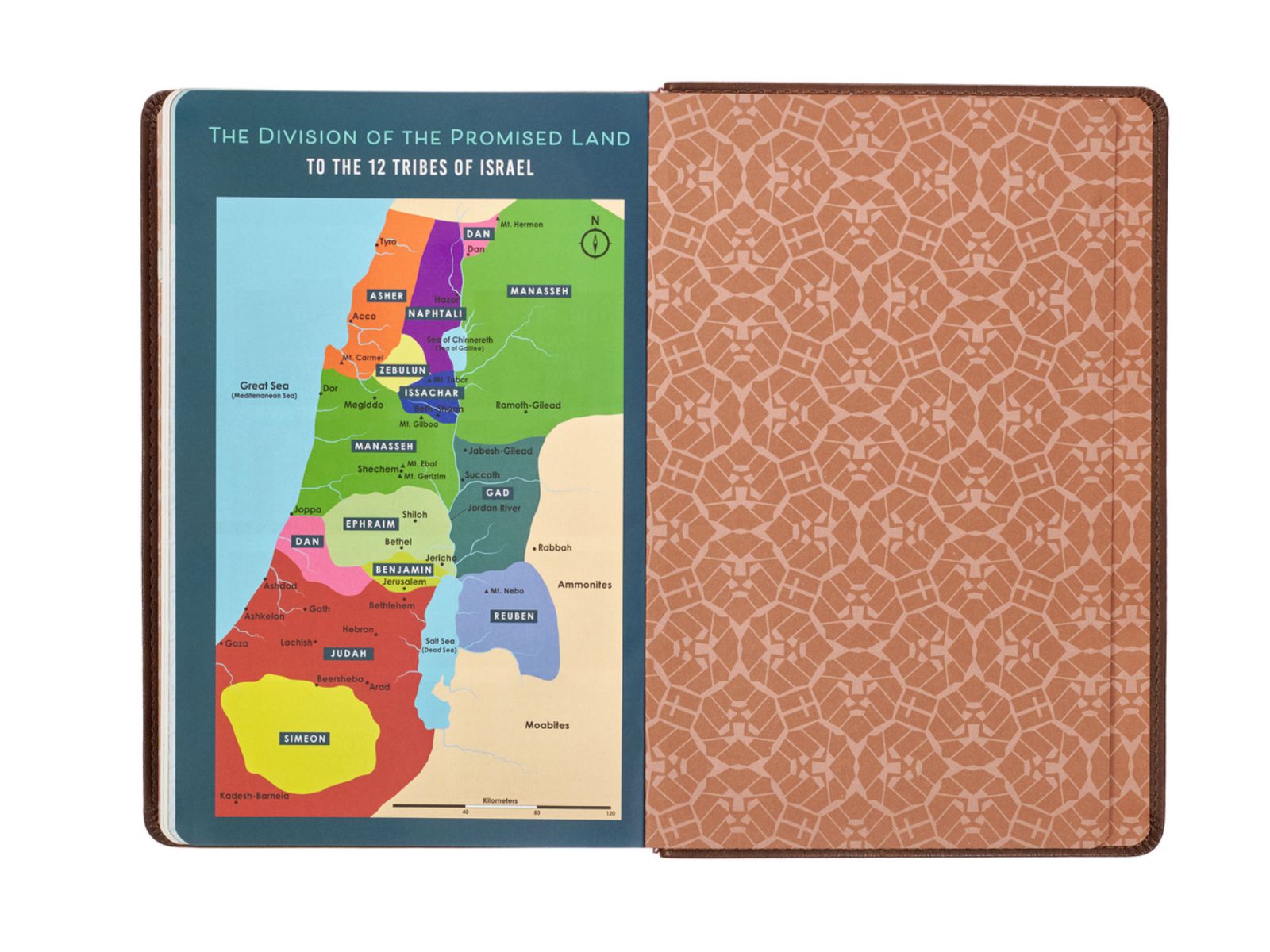 Lion Brown Faux Leather Kid's KJV Bible